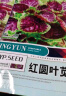 红苋菜种子野菜长寿菜圆叶汉菜种籽青菜春季四季盆栽阳台蔬菜种孑 红苋菜种子【1包 约5千粒】 晒单实拍图