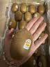 佳沛（zespri）新西兰金奇异果22粒巨大原箱146-175g猕猴桃中秋节礼品送水果礼盒 实拍图