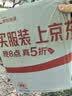 晨光(M&G)文具16K/20张米菲透明磨砂切角包书皮 中号自粘包书膜 学生书套开学文具 带姓名贴 实拍图
