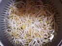 有机绿豆芽200g(原芽整根) 实拍图