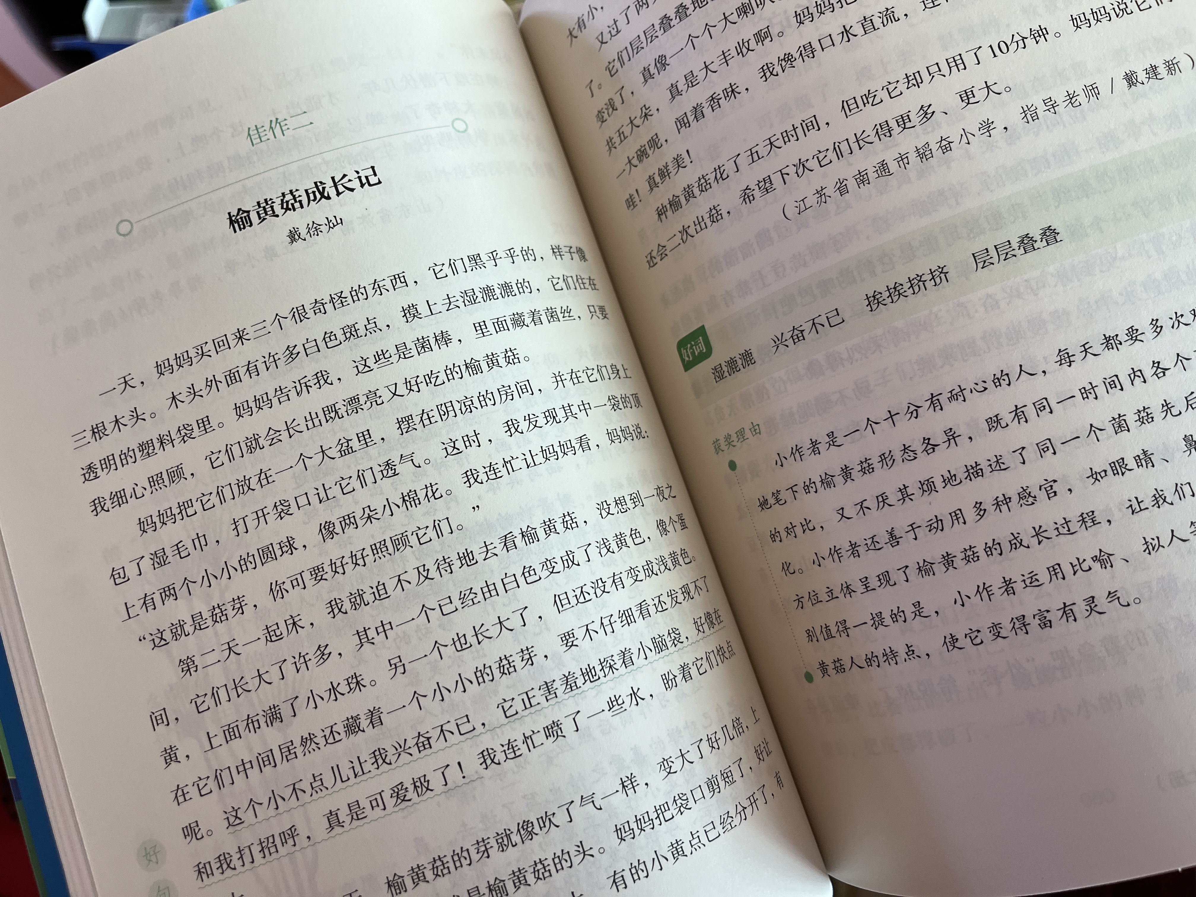 语文报小学生同步金奖作文（四年级）同步教材 满分优秀作文 好词好句 写作提升教辅书 开学季 实拍图