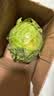 山东新鲜甘蓝包菜卷心菜圆白菜新鲜嫩绿莲花白现摘现发早餐减脂 新鲜包菜 2.8斤净重 人工挑拣 实拍图