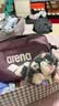阿瑞娜（arena）游泳包大容量干湿分离防水专业装备手提便携多仓收纳包男女通用 实拍图