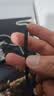 绿联打印机数据线  USB2.0AM/BM方口接头高速打印线  通用惠普HP佳能爱普生打印机连接线 3米80804 实拍图