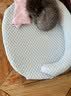 HOUYA猫窝狗窝小型犬猫咪秋冬猫垫子睡觉用宠物睡垫地垫猫咪毯子 实拍图