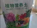 漫生活30L通用型营养土兰花土壤养花土种菜土有机种花土发财树种植盆栽 实拍图