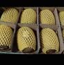 佳沛（zespri）绿奇异果经典果16粒单果约89-103g猕猴桃中秋节礼品送水果礼盒 实拍图