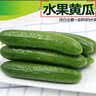 京鲜生 山东水果小黄瓜 净重4.5斤单果80g+ 健康轻食 源头直发 实拍图