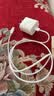 Apple/苹果 【20W线充套装】20W快充充电器+60W-typec充电线 全新原装正品 实拍图