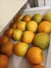 正宗湖北伦晚脐橙新鲜现摘当季水果彩箱5斤10斤送礼京东快递 净重9斤（70-80mm带箱10斤中果 实拍图