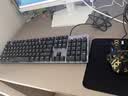 罗技（Logitech）K845机械键盘 有线键盘 办公电脑打字键盘  电竞游戏发光全尺寸个性化定制键帽 K845青轴+极昼透光键帽 实拍图