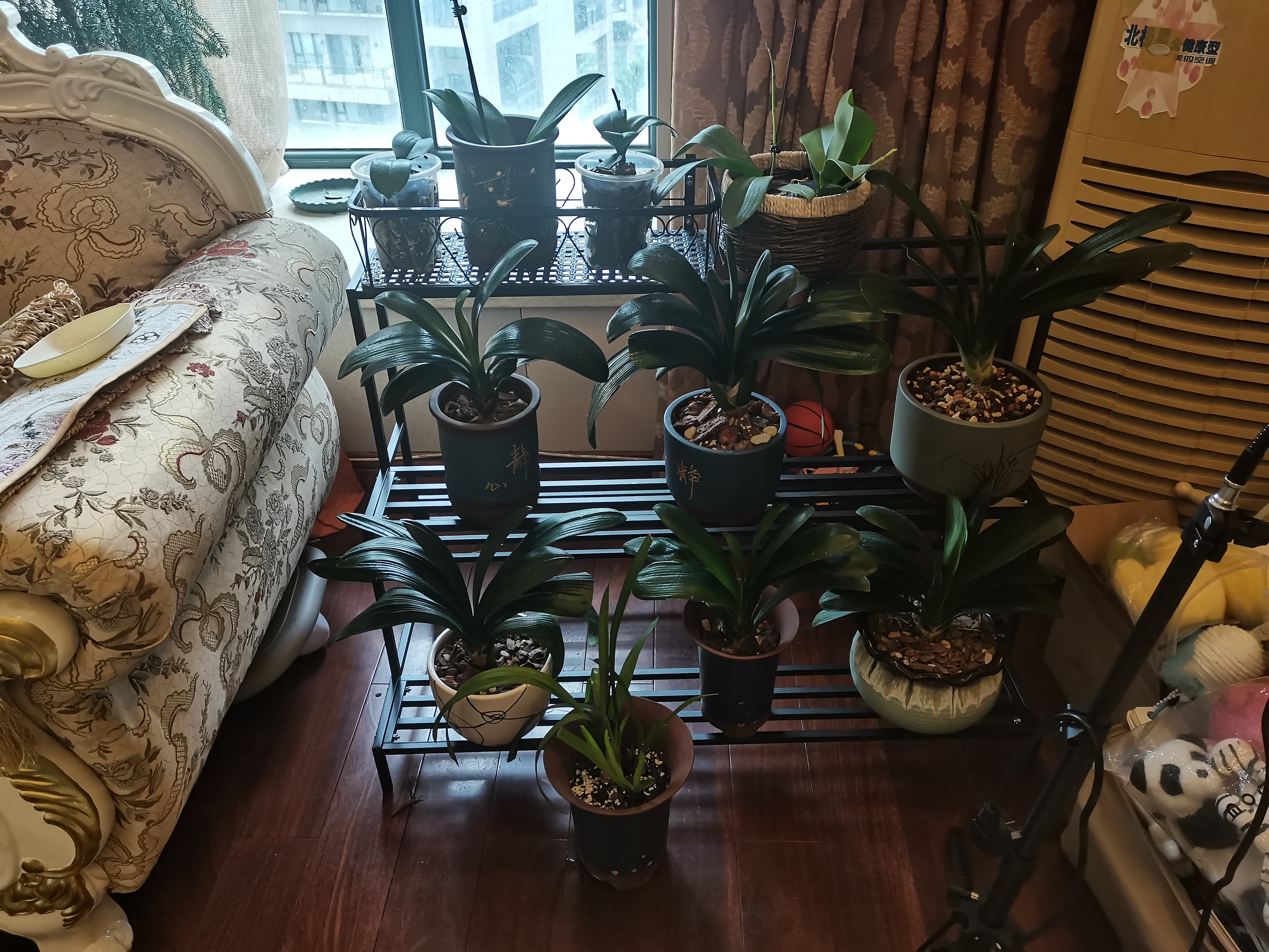 瑶颖层架置物架阳台花架多层阶梯式防锈铁艺花盆架YZ23黑色三层100cm 实拍图