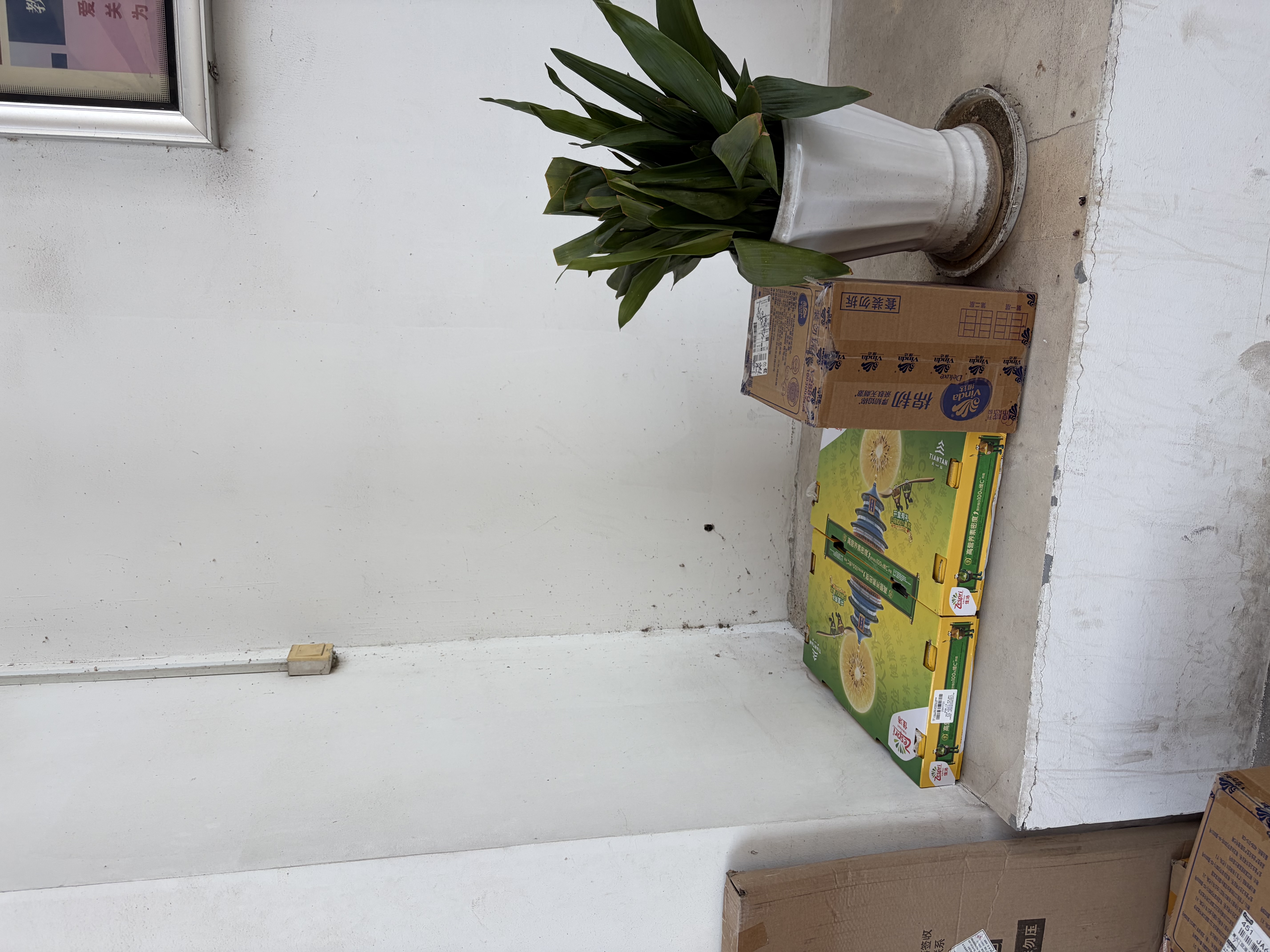 佳沛（zespri）新西兰金奇异果16粒经典果88-103g猕猴桃中秋节礼品送水果礼盒 实拍图