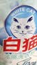 白猫 新浓缩洗衣粉(丹麦进口生物酵素)4.36斤 双效酵素 去渍护色  实拍图