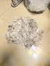 康佳（KONKA）宠物剃毛器 大功率不卡毛狗狗理发器 宠物推子金毛剃毛剪毛器 推毛大型犬剃毛器电推剪宠物店专用 实拍图