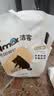 洁客猫砂膨润土除臭京东自营送货上门高效结团猫砂8kg*1箱 实拍图
