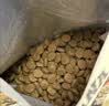愛肯拿（ACANA）狗粮试用装 鸭肉梨清火低敏去泪痕全价通用进口狗粮85g 效期26/12 实拍图