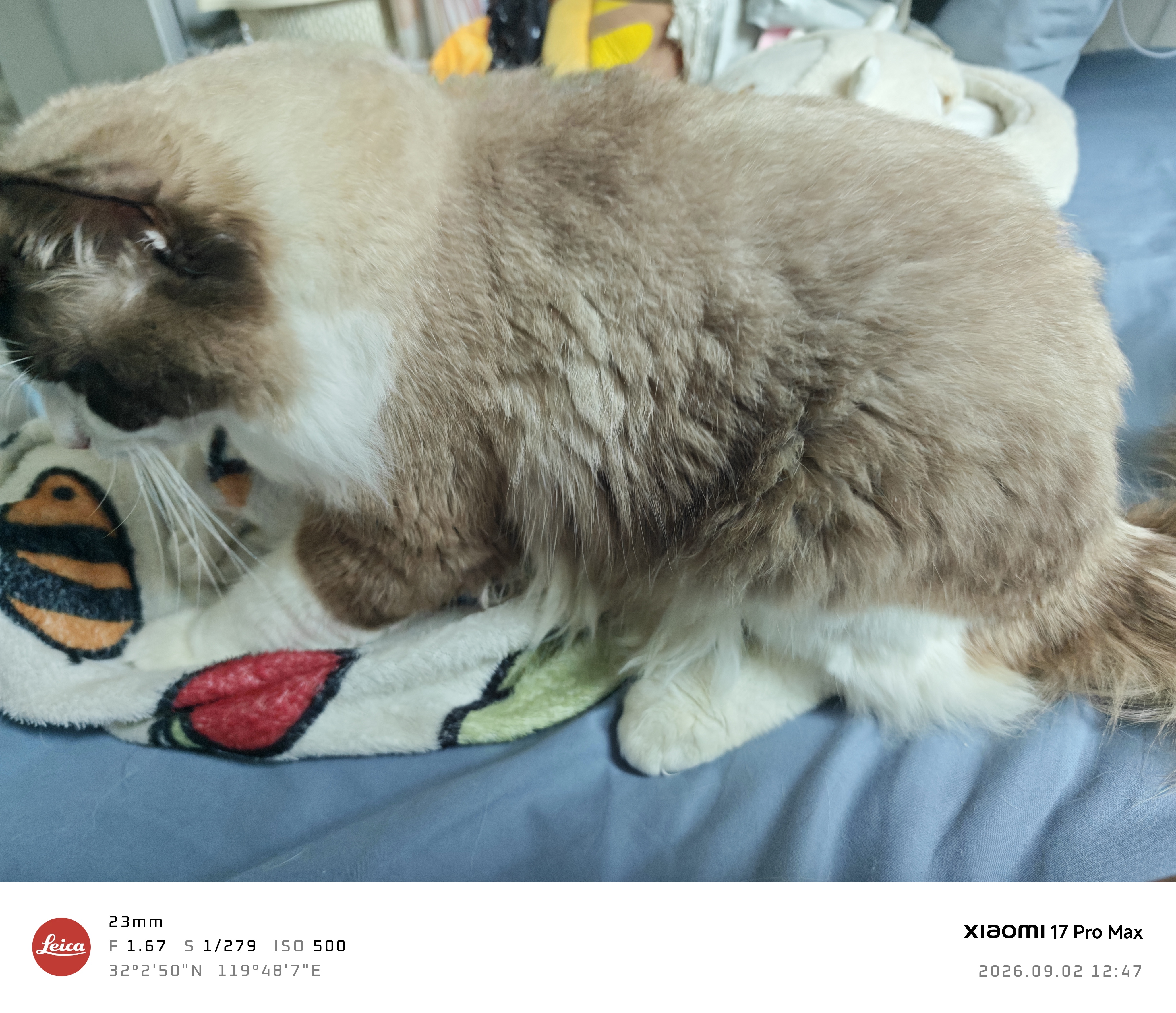 品品牛板筋混装 麻辣味330g 办公室解馋追剧 休闲零食组合 实拍图