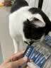 鲜朗主食猫条磷虾三文鱼油营养全价成猫幼猫湿粮无添加非零食补水湿粮 混合口味【12g/支】 96支【畅享装】 实拍图