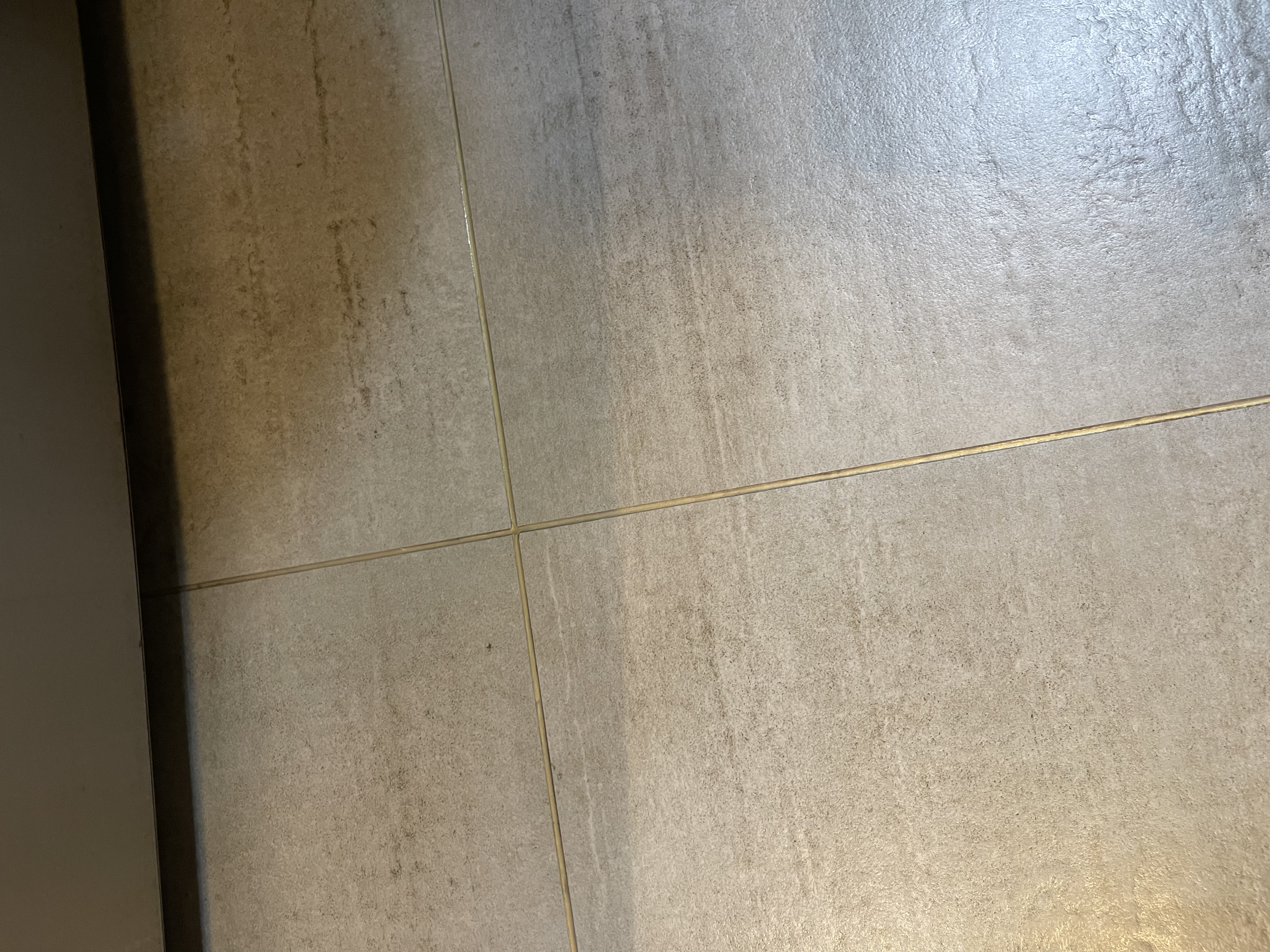 KARCHER德国卡赫家用蒸汽清洁机高温高压家电空调油烟机多功能清洗一体机全能版蒸汽机高压清洗机洗地机 SC2玻璃透亮套装 实拍图