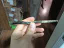 Color Key珂拉琪小金筷眉笔防水防汗持久新手易画送女友老婆教师节礼物 实拍图