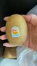 佳沛（zespri）新西兰金奇异果12粒特大果124-146g猕猴桃中秋节礼品送水果礼盒 实拍图