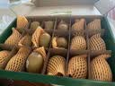 佳沛（zespri）新西兰金奇异果18粒优选果103-124g猕猴桃中秋节礼品送水果礼盒 实拍图