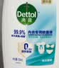 滴露（Dettol）衣物消毒液除菌松木3L 衣服消毒水99.9%杀菌除螨内衣裤配洗衣液 实拍图