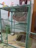 憨憨宠 猫笼大号方管猫笼子猫别墅家用带厕所猫屋猫舍围栏幼猫成猫笼具 升级置物架三层丨清馨绿70*55*111cm【赠猫砂底垫】 实拍图