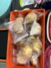 胶功夫 儿童零食宝宝小面包蛋糕独立包装牛乳芝士营养健康解馋早餐500g 实拍图