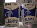 蒙牛低脂高钙牛奶250ml*24盒 早餐健身伴侣 送礼优选送礼礼盒 实拍图