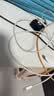 Apple/苹果 60W type-c充电线-1米 usb-c手机数据线 原装旗舰店苹果iPhone 17 Pro Max iPad快充线 实拍图