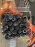 怡颗莓【颗颗饱满】当季云南蓝莓 国产蓝莓 新鲜水果送礼 Jumbo超大125g*4盒（18mm+） 实拍图