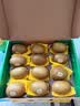佳沛（zespri）新西兰金奇异果12粒特大果124-146g猕猴桃中秋节礼品送水果礼盒 实拍图