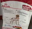 皇家狗粮 成犬狗粮 犬粮 宠物 中型犬 M25 全价犬粮 ≥12月 4KG 实拍图