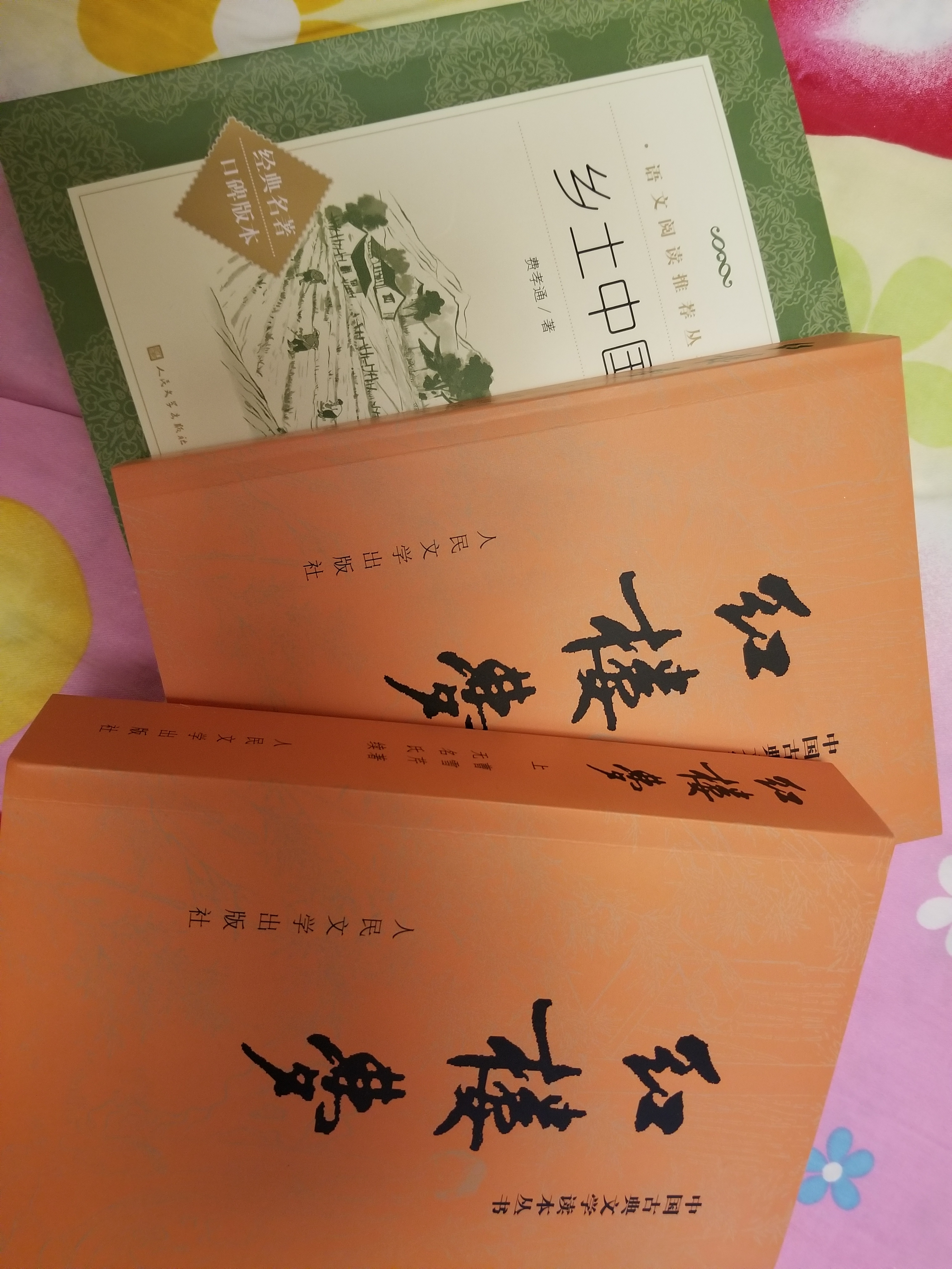【高一】乡土中国和红楼梦 人民文学出版社 红楼梦乡土中国高一必读原著正版 京东自营 高一上 学生阅读 推荐阅读 高中必读语文教材  实拍图
