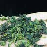 正山王茶叶安溪铁观音特级清香型2026新茶乌龙茶叶礼盒装送长辈领导500g 实拍图