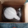美的（Midea）烧水壶电热水壶304食品级不锈钢无缝内胆双层防烫1.7L大容量1800W智能断电SHJ1721 实拍图