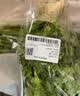 带根香菜100g 实拍图