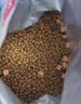 麦富迪猫粮 超肉粒冻干双拼成猫粮美毛护肠三文鱼10kg/20斤【宠物金选】 实拍图