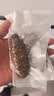得力真空封口机小型家用抽真空包装机食品塑封机真空机腊肉密封机保鲜猫狗粮防潮 全新升级六边形战士 实拍图