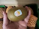 佳沛（zespri）新西兰金奇异果8粒超大果175-204g猕猴桃中秋节礼品送水果礼盒 实拍图