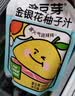 金豆芽金银花柚子汁儿童果汁饮品送礼盒装户外便携饮料100ml*13袋 实拍图