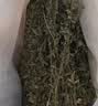 比克熊紫花苜蓿草幼兔兔粮烘干牧草干草龙猫荷兰猪磨牙饲料净重750g 实拍图