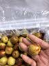 京地达陕西大荔冬枣 净重5斤果王礼盒 单果22g+ 脆甜鲜枣 源头直发 实拍图