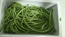 山东莘县大棚豇豆新鲜长豆角凉拌菜脆嫩鲜甜 农家精选带箱5斤装（净重4.2斤） 实拍图
