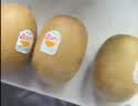 佳沛（zespri）新西兰 金奇异果特大果15粒134-146g猕猴桃中秋节礼品送水果礼盒 实拍图