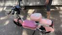 飞鸽电动自行车 E75Plus2026款新国标电动车长续航80KM铅酸电池48V21Ah智能家用电瓶车可上牌樱花粉 实拍图