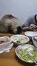优基猫粮成猫粮生骨肉蛋黄冻干三拼无谷鸡肉味成年猫饭益生菌宠物食品 6kg成猫粮 实拍图