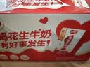 银鹭【任嘉伦推荐】花生牛奶250ml*24 整箱礼盒早餐礼盒 实拍图